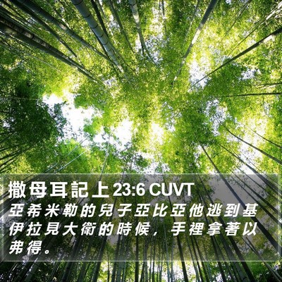 撒 母 耳 記 上 23:6 CUVT Bible Verse Image