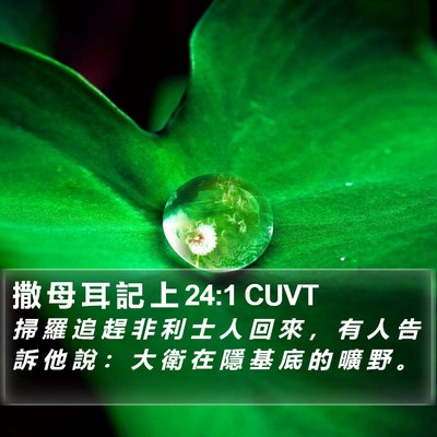 撒 母 耳 記 上 24:1 CUVT Bible Verse Image