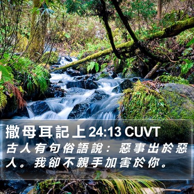 撒 母 耳 記 上 24:13 CUVT Bible Verse Image