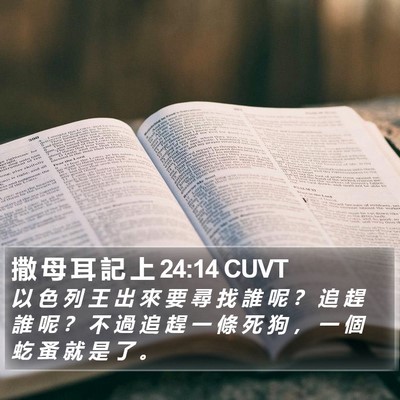 撒 母 耳 記 上 24:14 CUVT Bible Verse Image