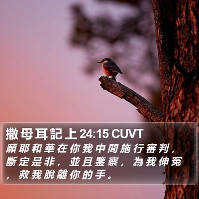 撒 母 耳 記 上 24:15 CUVT Bible Verse Image
