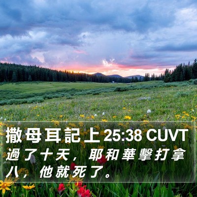 撒 母 耳 記 上 25:38 CUVT Bible Verse Image