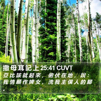 撒 母 耳 記 上 25:41 CUVT Bible Verse Image