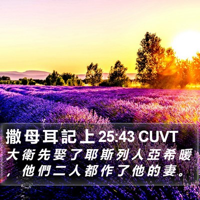 撒 母 耳 記 上 25:43 CUVT Bible Verse Image