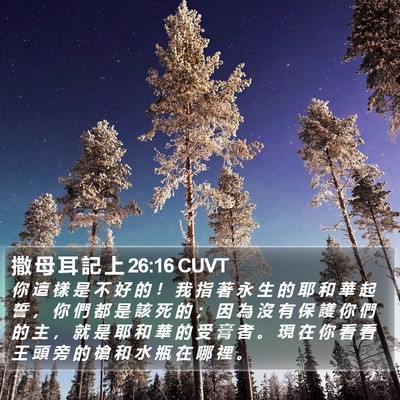 撒 母 耳 記 上 26:16 CUVT Bible Verse Image
