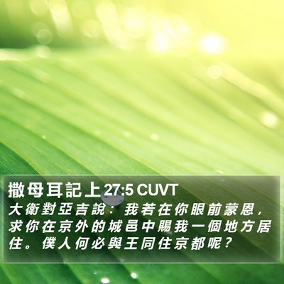 撒 母 耳 記 上 27:5 CUVT Bible Verse Image