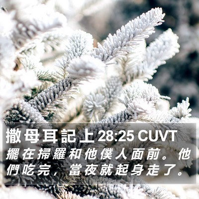 撒 母 耳 記 上 28:25 CUVT Bible Verse Image