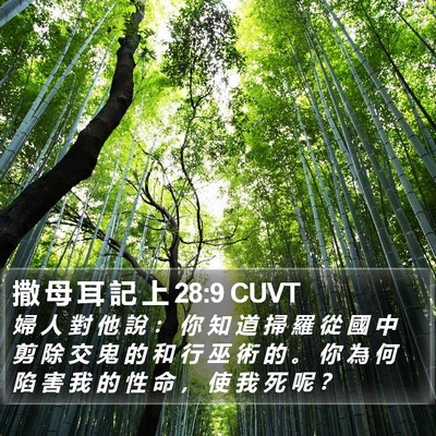 撒 母 耳 記 上 28:9 CUVT Bible Verse Image