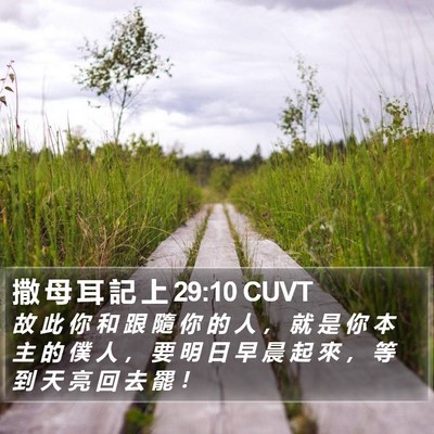 撒 母 耳 記 上 29:10 CUVT Bible Verse Image