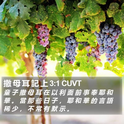 撒 母 耳 記 上 3:1 CUVT Bible Verse Image