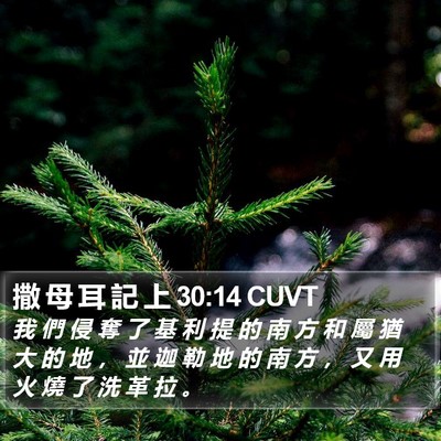 撒 母 耳 記 上 30:14 CUVT Bible Verse Image