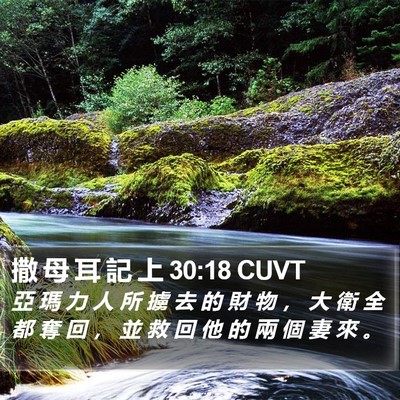 撒 母 耳 記 上 30:18 CUVT Bible Verse Image