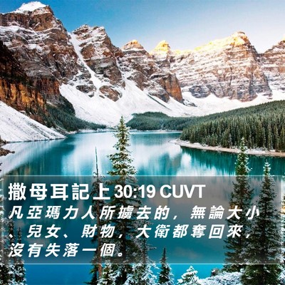 撒 母 耳 記 上 30:19 CUVT Bible Verse Image
