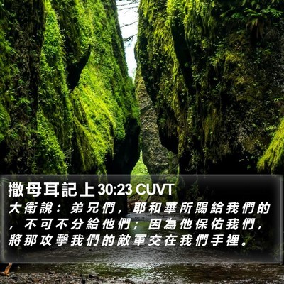 撒 母 耳 記 上 30:23 CUVT Bible Verse Image
