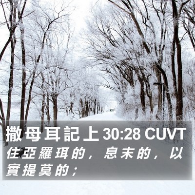 撒 母 耳 記 上 30:28 CUVT Bible Verse Image
