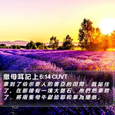 撒 母 耳 記 上 6:14 CUVT Bible Verse Image