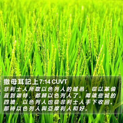 撒 母 耳 記 上 7:14 CUVT Bible Verse Image