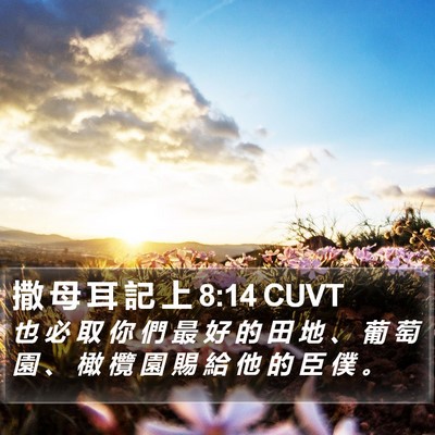 撒 母 耳 記 上 8:14 CUVT Bible Verse Image