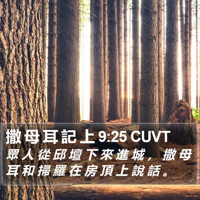 撒 母 耳 記 上 9:25 CUVT Bible Verse Image