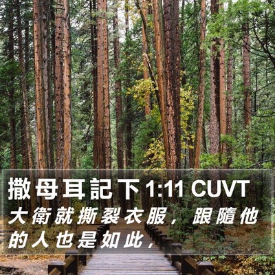 撒 母 耳 記 下 1:11 CUVT Bible Verse Image