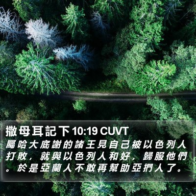 撒 母 耳 記 下 10:19 CUVT Bible Verse Image