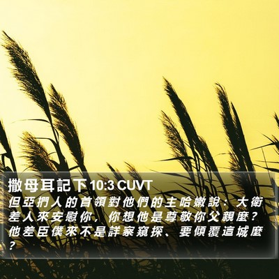 撒 母 耳 記 下 10:3 CUVT Bible Verse Image