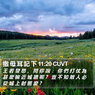撒 母 耳 記 下 11:20 CUVT Bible Verse Image