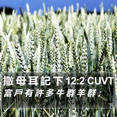 撒 母 耳 記 下 12:2 CUVT Bible Verse Image