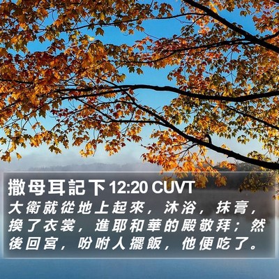 撒 母 耳 記 下 12:20 CUVT Bible Verse Image