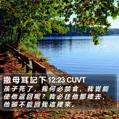 撒 母 耳 記 下 12:23 CUVT Bible Verse Image