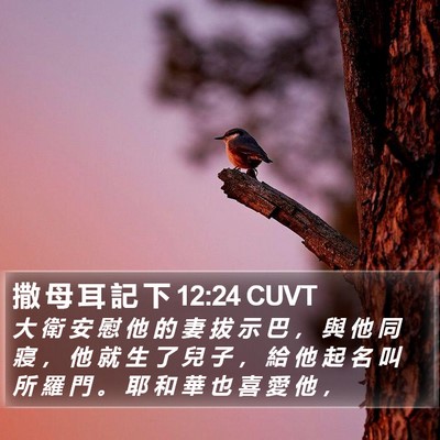 撒 母 耳 記 下 12:24 CUVT Bible Verse Image