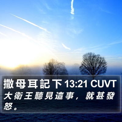 撒 母 耳 記 下 13:21 CUVT Bible Verse Image