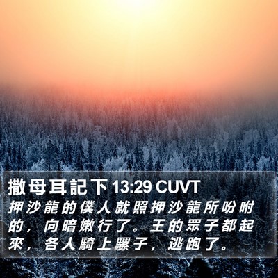撒 母 耳 記 下 13:29 CUVT Bible Verse Image