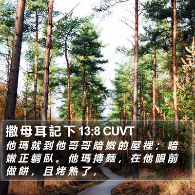 撒 母 耳 記 下 13:8 CUVT Bible Verse Image