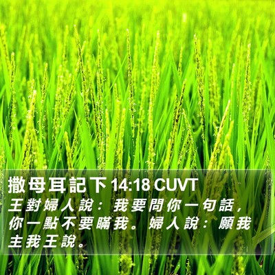 撒 母 耳 記 下 14:18 CUVT Bible Verse Image