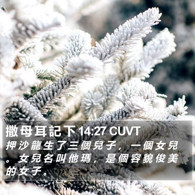 撒 母 耳 記 下 14:27 CUVT Bible Verse Image