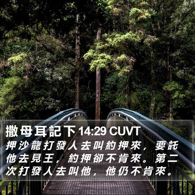 撒 母 耳 記 下 14:29 CUVT Bible Verse Image