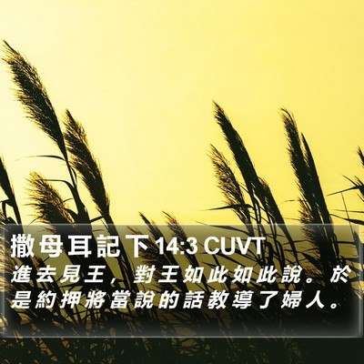 撒 母 耳 記 下 14:3 CUVT Bible Verse Image