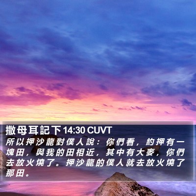 撒 母 耳 記 下 14:30 CUVT Bible Verse Image
