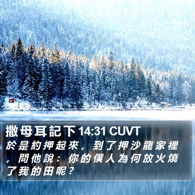 撒 母 耳 記 下 14:31 CUVT Bible Verse Image