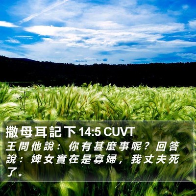 撒 母 耳 記 下 14:5 CUVT Bible Verse Image