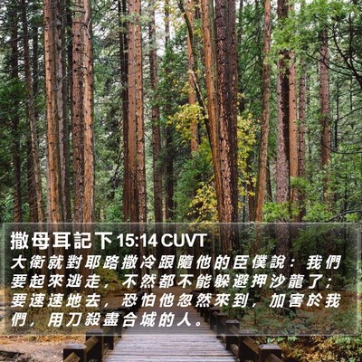 撒 母 耳 記 下 15:14 CUVT Bible Verse Image