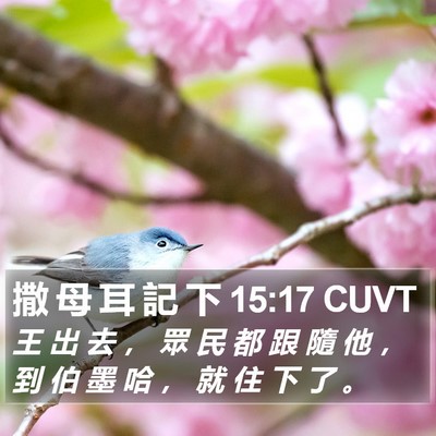 撒 母 耳 記 下 15:17 CUVT Bible Verse Image