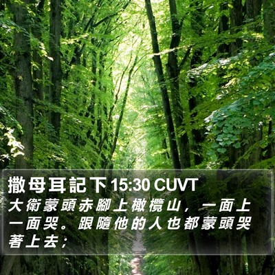 撒 母 耳 記 下 15:30 CUVT Bible Verse Image