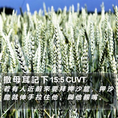 撒 母 耳 記 下 15:5 CUVT Bible Verse Image