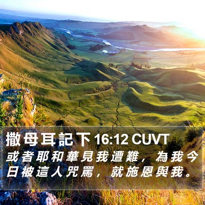 撒 母 耳 記 下 16:12 CUVT Bible Verse Image