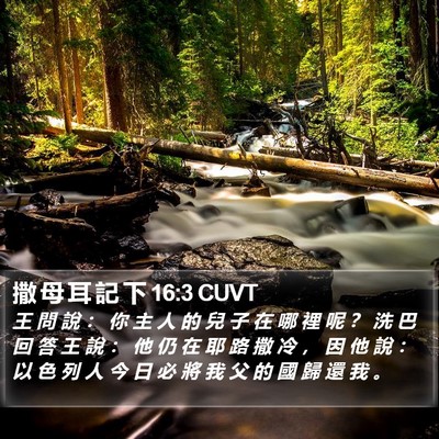 撒 母 耳 記 下 16:3 CUVT Bible Verse Image