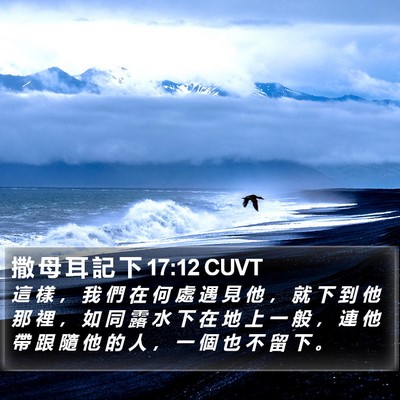 撒 母 耳 記 下 17:12 CUVT Bible Verse Image