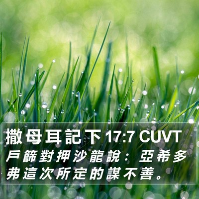 撒 母 耳 記 下 17:7 CUVT Bible Verse Image
