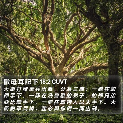 撒 母 耳 記 下 18:2 CUVT Bible Verse Image